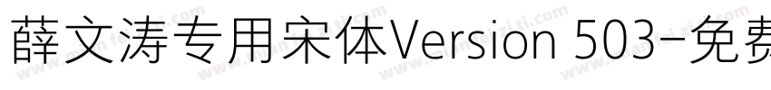 薛文涛专用宋体Version 503字体转换